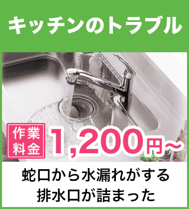 キッチン（台所）の蛇口の水漏れ修理 名古屋市瑞穂区